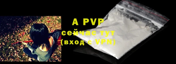 шишки Великий Новгород