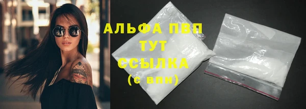 ГАЛЛЮЦИНОГЕННЫЕ ГРИБЫ Ладушкин