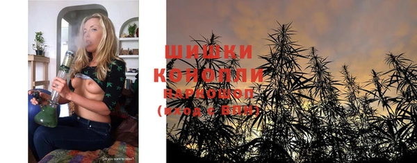 шишки Великий Новгород