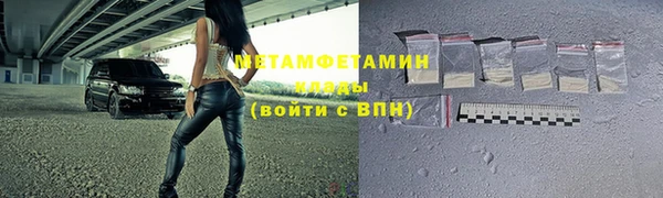 шишки Великий Новгород